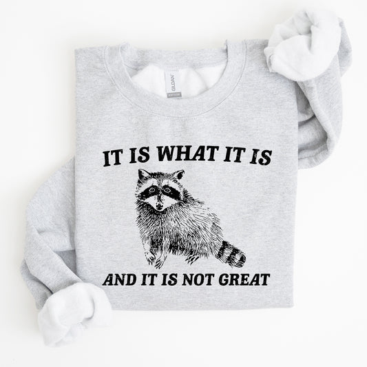 It Is What It Is And It Is Not Great, Raccoon, Funny, Aesthetic Sweatshirt
