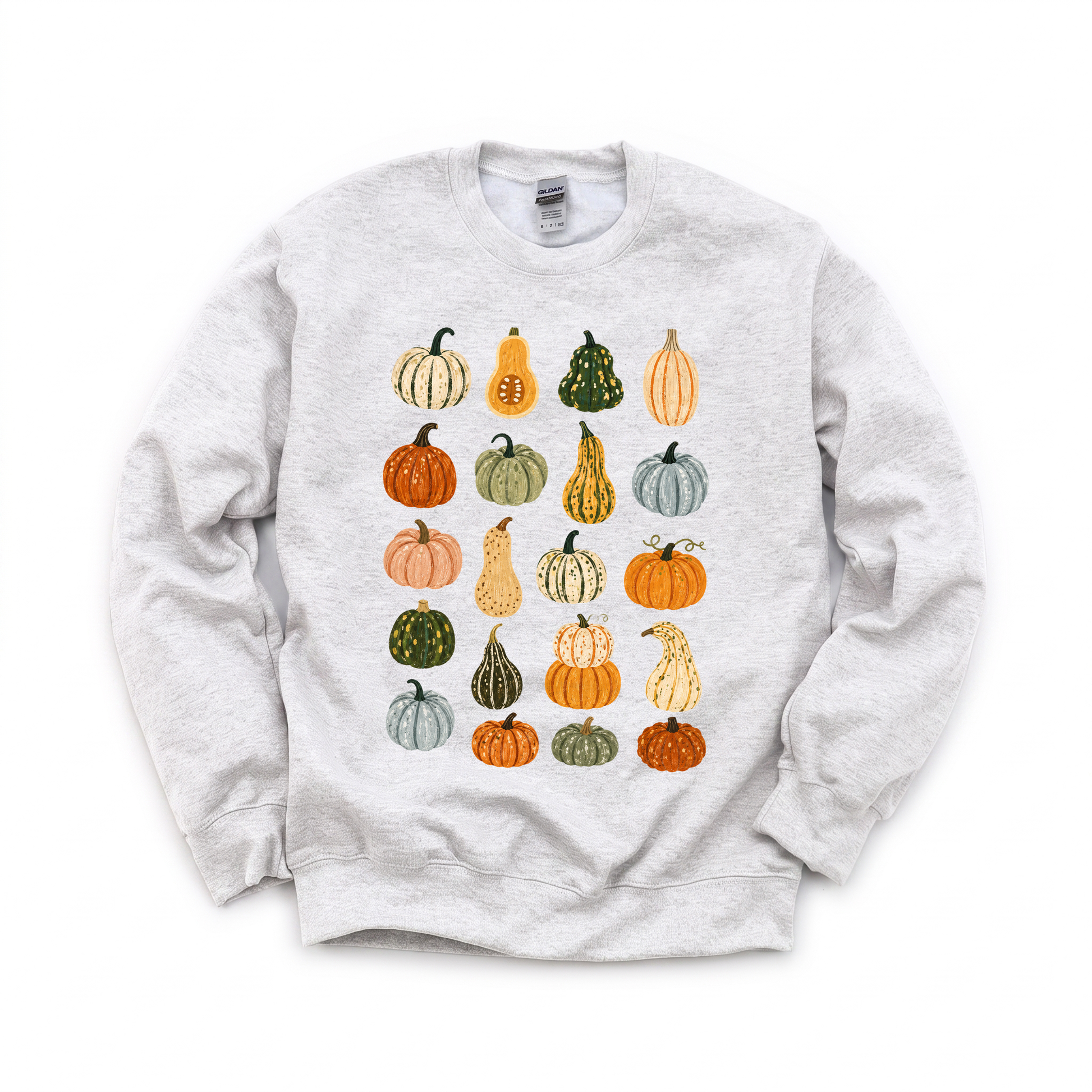 Assorted Gourds graphic on Gildan 18000 in Ash