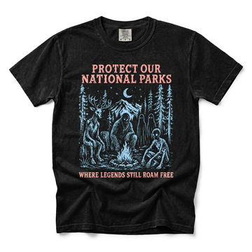Cryptid Campfire graphic on Comfort Colors 1717 in Black