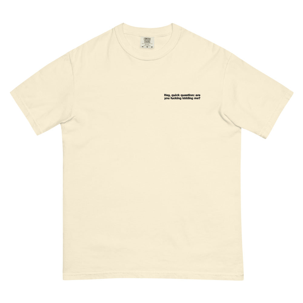 Hey Quick Question graphic on Comfort Colors 1717 in Ivory