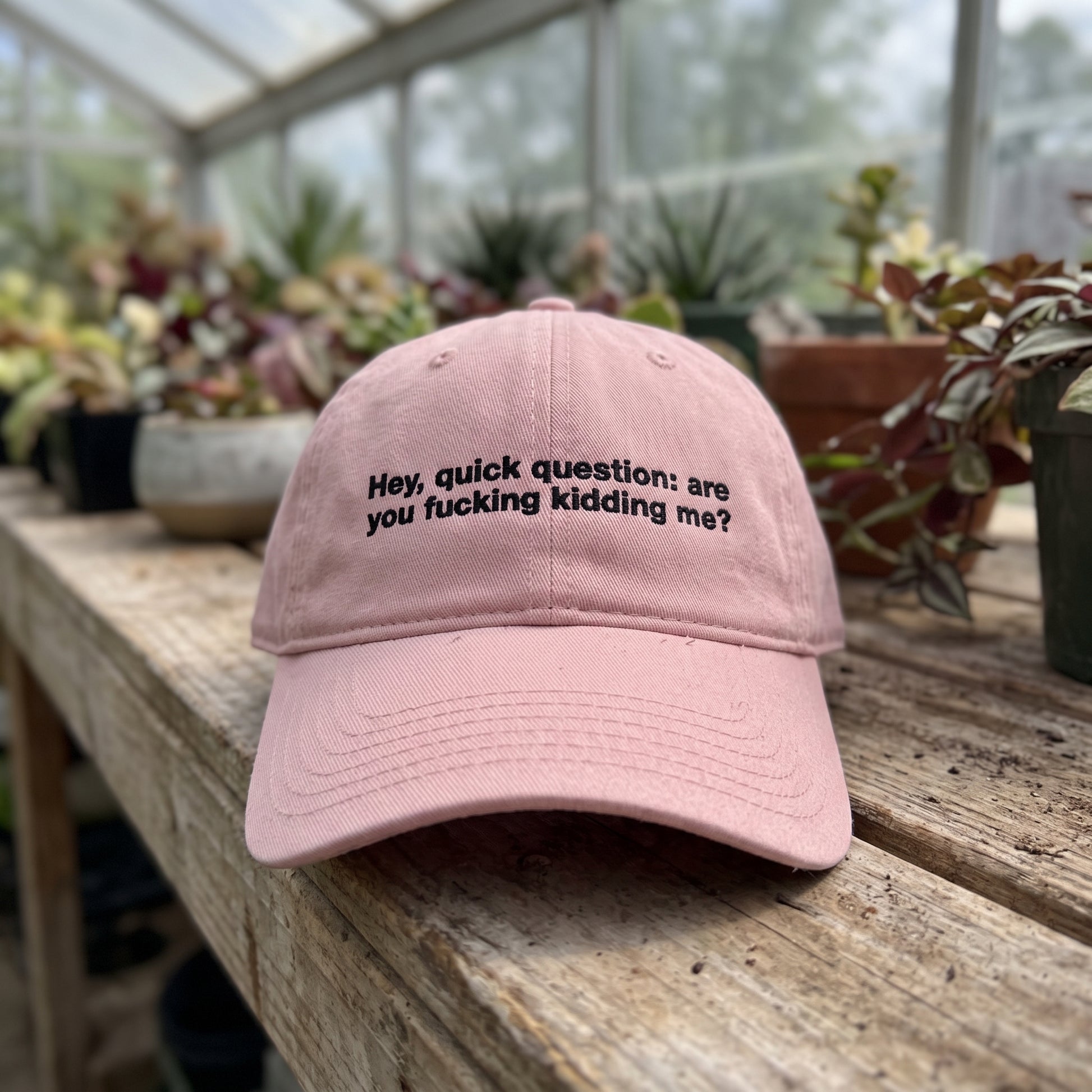 Hey Quick Question embroidered hat in Dusty Rose resting on a flat surface, lifestyle image 1