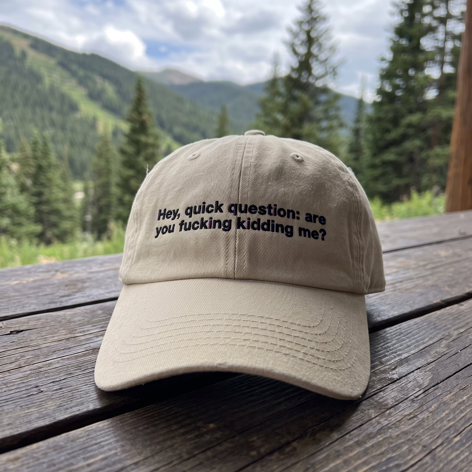 Hey Quick Question embroidered hat in Khaki resting on a flat surface, lifestyle image 1