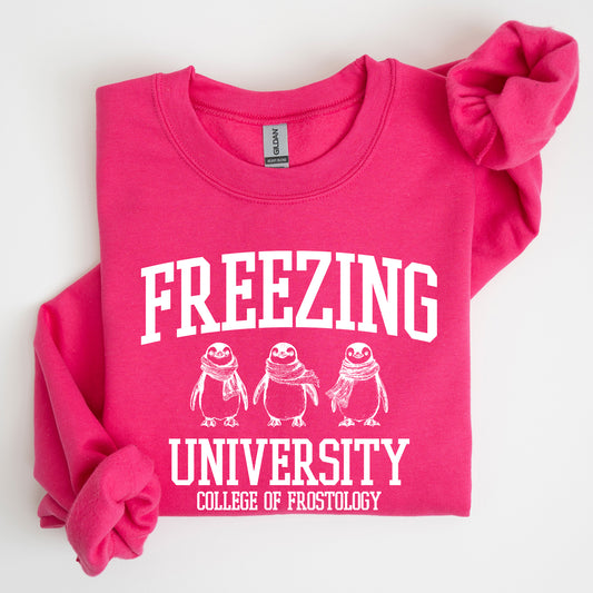 Freezing University, Funny, Penguins, Winter, Cold Sweatshirt