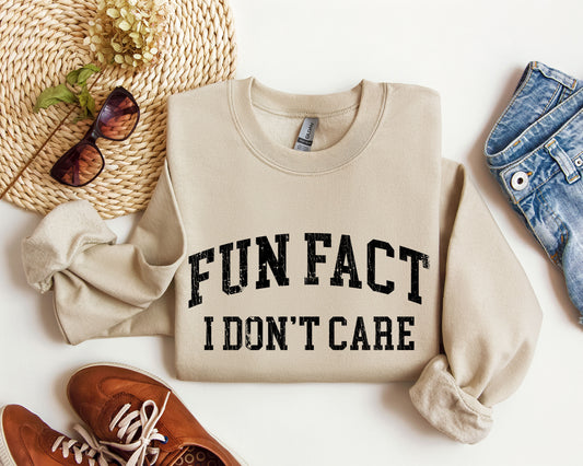 Fun Fact I Don't Care Funny Sweatshirt, Sarcastic College Sweatshirt