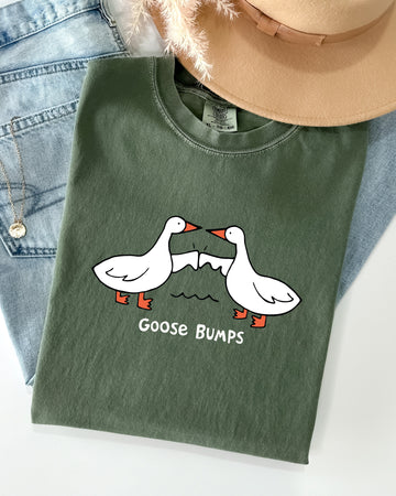 Goose Bumps, Funny, Meme, Joke, Aesthetic Shirt Comfort Colors T-Shirt