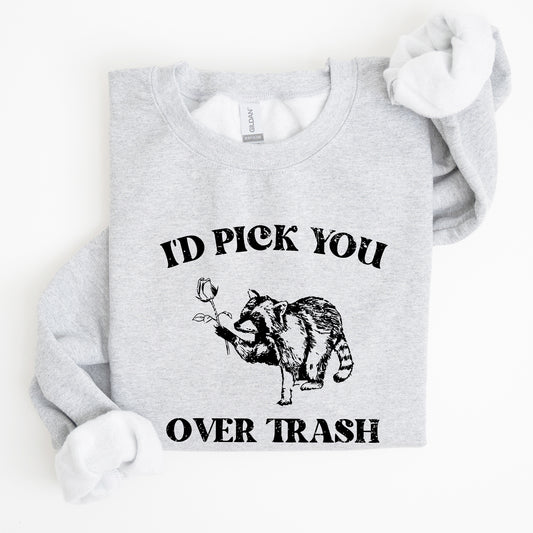 I'd Pick You Over Trash, Raccoon, Funny, Aesthetic Sweatshirt