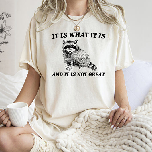 It Is What It Is And It Is Not Great, Raccoon, Meme, Aesthetic, Funny, Comfort Colors Tshirt