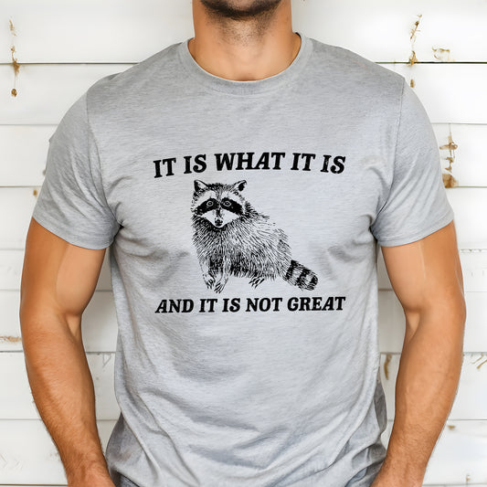 It Is What It Is And It's Not Great, Raccoon, Funny, Aesthetic, Meme Soft T-Shirt