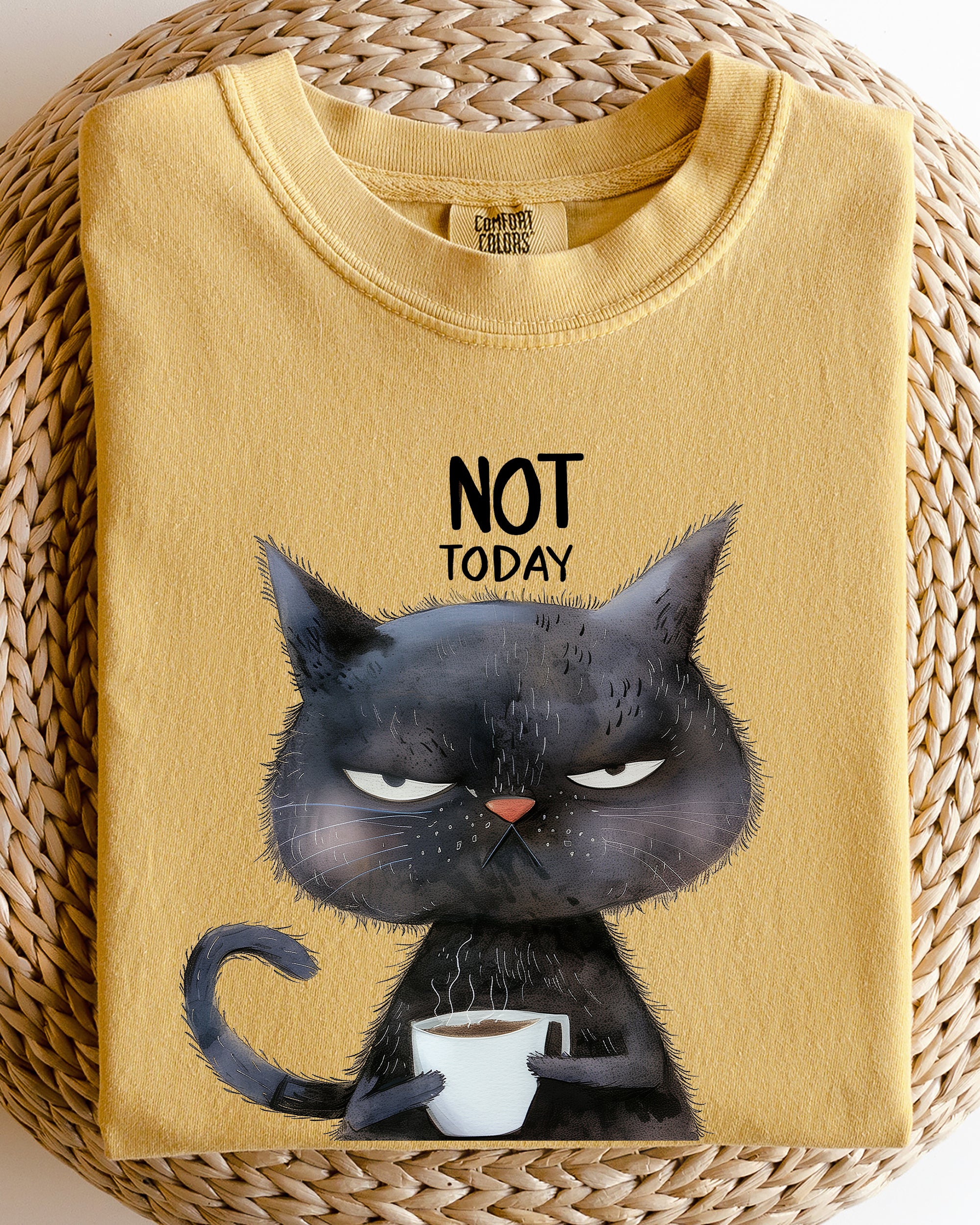 Cat not fashion today shirt