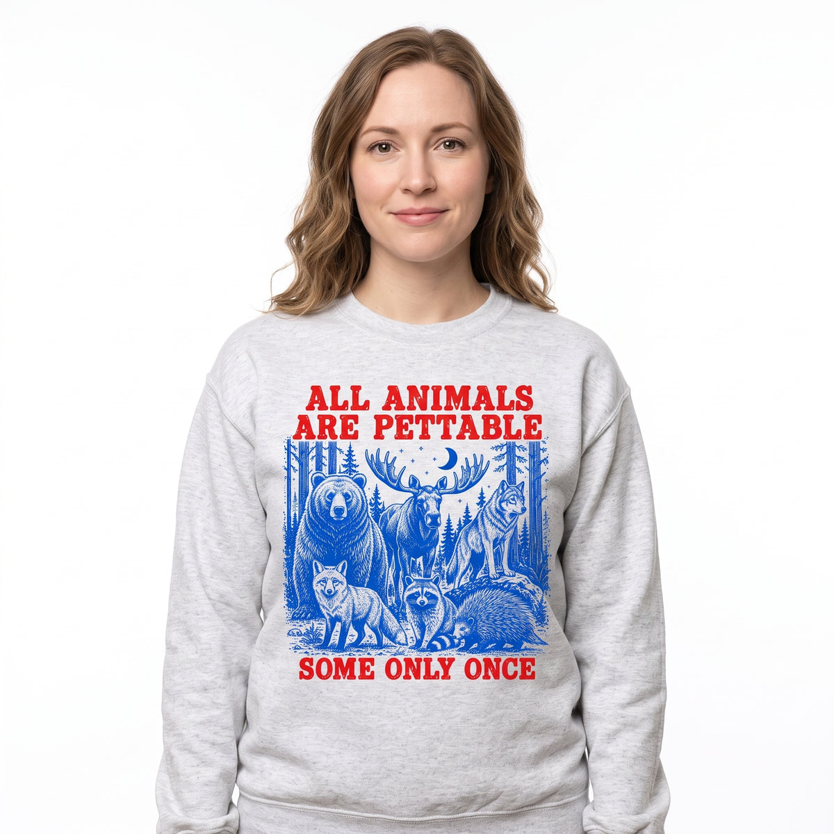 Model wearing the Pettable Animals sweatshirt in Ash, cover image 1