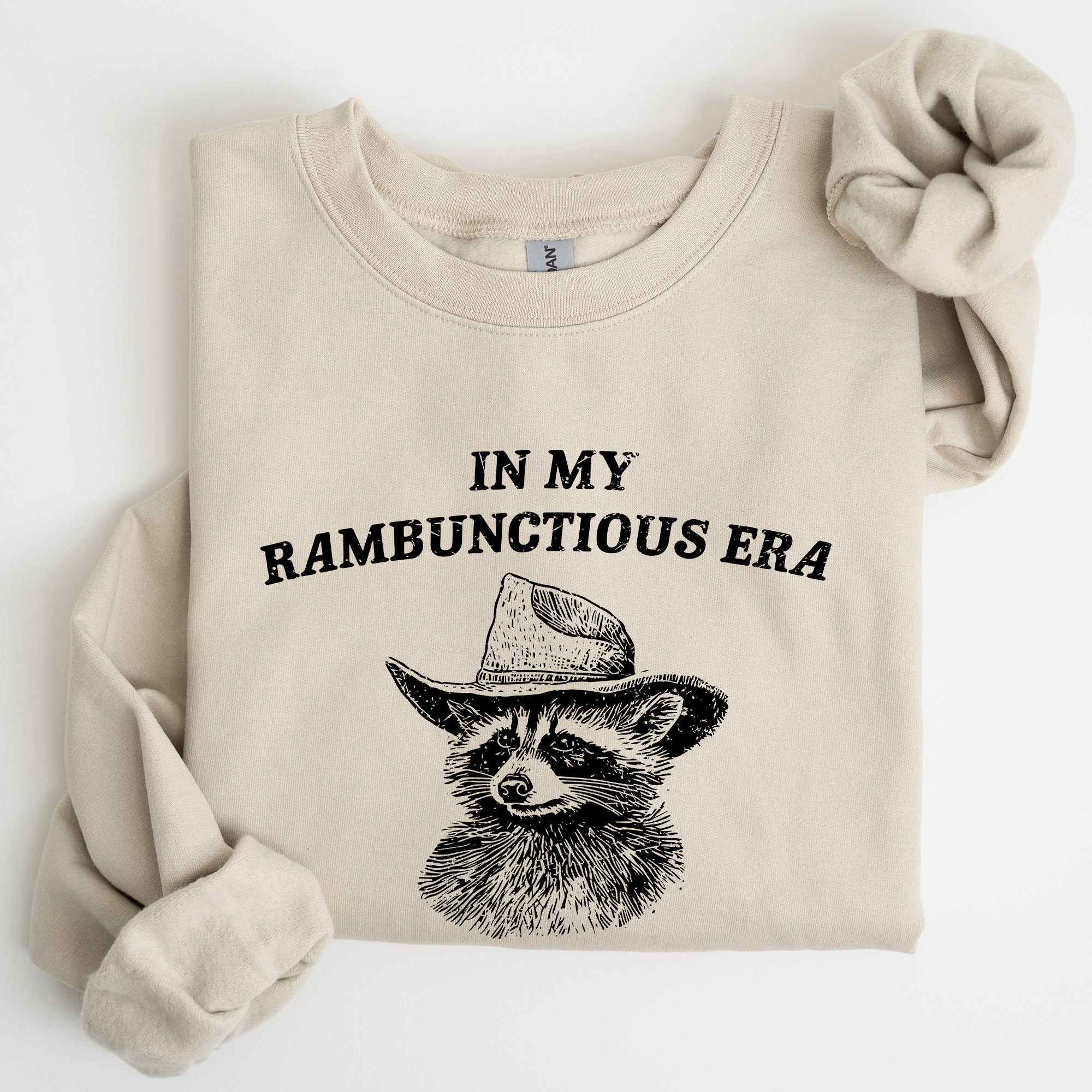 Rambunctious Era, Raccoon, Meme Sweatshirt | Refinery Number One
