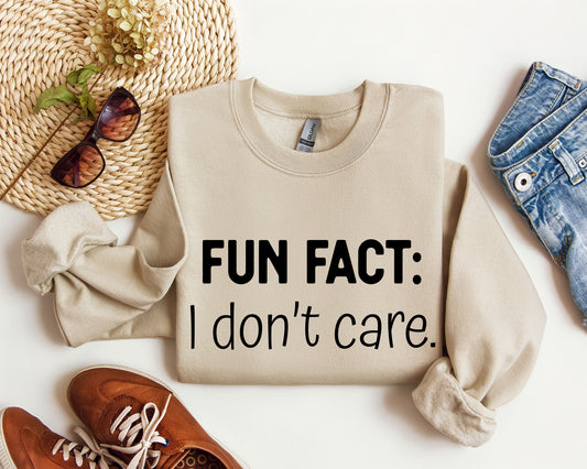 Fun Fact I Don't Care Sweatshirt, Sarcastic College Sweatshirt