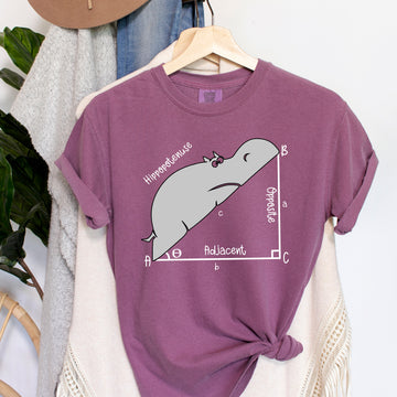 Hippopotenuse Funny Teacher WH T-Shirt