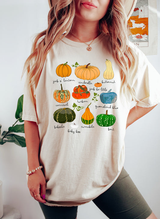 Pumpkins Varieties With Names Comfort Colors Tshirt