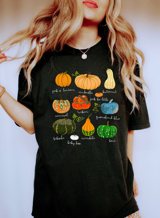 Pumpkins Varieties With Names Comfort Colors Tshirt